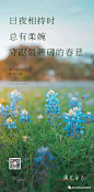 春分
关注公众号 → 回复 → 春分→ 下载源文件