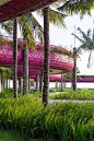 奇妙想象 | 越南青龙海湾步道与广场 / TA Landscape Architecture – mooool木藕设计网