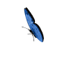 10002