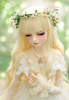 星光的倩影采集到BJD