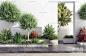 现代室外绿植盆栽3d模型