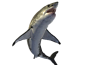 鲨鱼PNG
