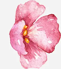 花瓣高清素材 PNG 免扣 叶子 小清新 手绘 月季 树枝 水彩 花环 花瓣 免抠png 设计图片 免费下载