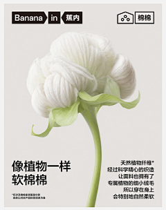 heyanjun采集到素材