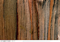 木纹板材机理效果-褐色的树皮纹理图片素材下载，现在加入素材公社即可参与传素材送现金活动