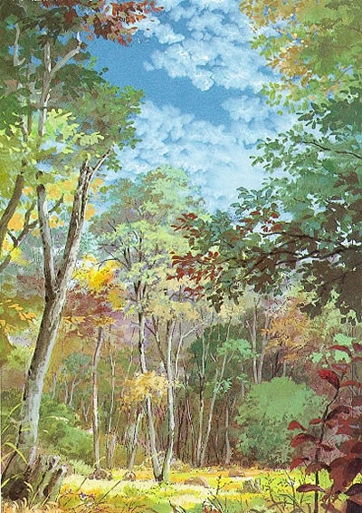 采自Lynn的花瓣画板“插画们”。男鹿和...