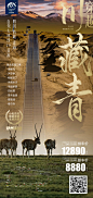 国内四川西藏青海稻城亚丁旅游海报