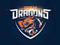 This may contain: an orange and blue dragon logo on a dark background