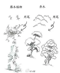 绘画学习 手绘教程。风景线稿！简单入门，快来一起画~ ​#插画艺术作品# ​​​​