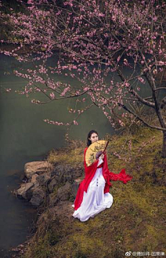 隔世烟云（不聊天）采集到古装美女