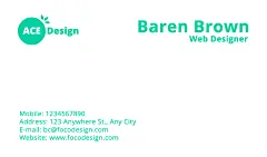 Designer Business Card Simple Fashion Style