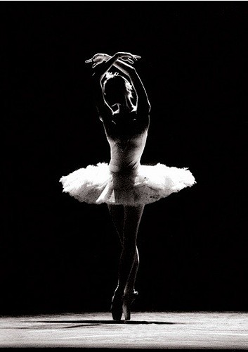 Swan. | Ballet