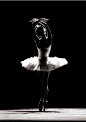 Swan. | Ballet