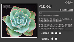 【一人一世界】采集到多肉植物标签