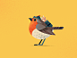 Bird Hood by Wanda Arca - Dribbble