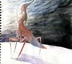 怪诞早稻的相册-早稻插画