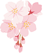 水彩日式樱花Sakura花朵分割线边框花圈AI矢量印刷平面海报素材 (3)