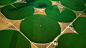圆形农田，科罗拉多州摩根县 (© Jim Wark/Getty Images) | 必应每日高清壁纸 - 精彩,从这里开始