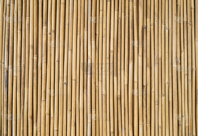 竹子,纹理,正面视角,留白,水平画幅,墙,无人,干花,组物体,干的