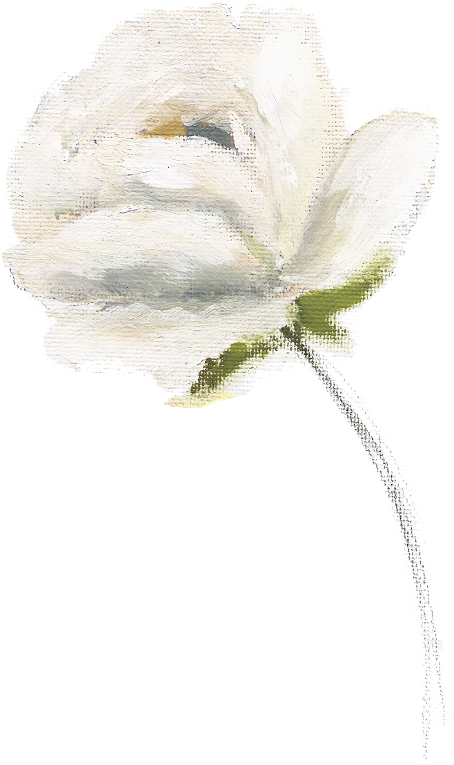 油画植物png (9)
