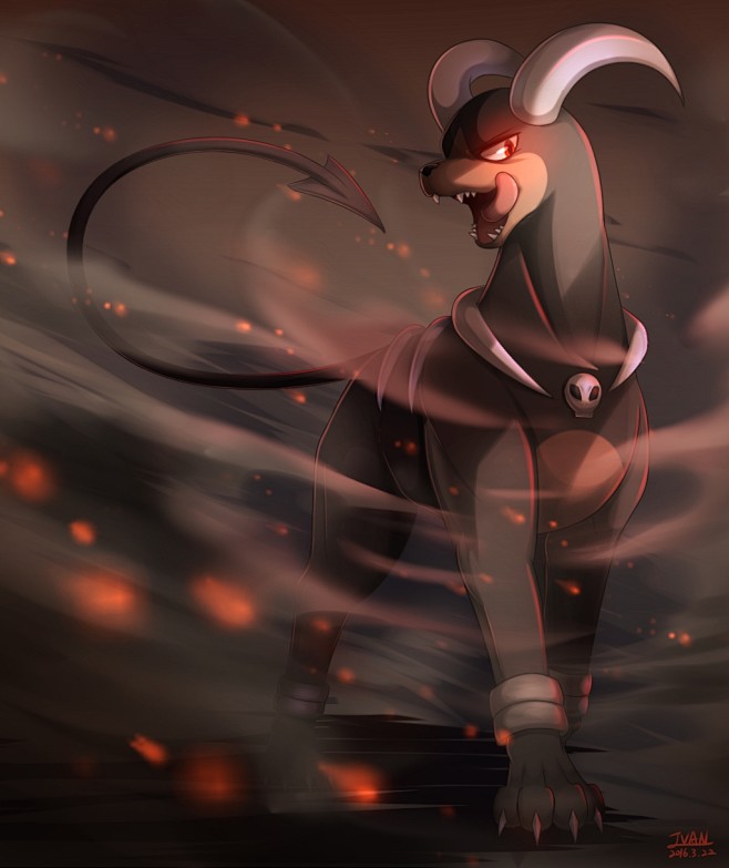 宠物小精灵口袋妖怪神奇宝贝黑鲁加