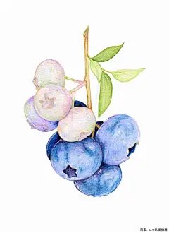 美国Kendyll彩铅食物美食甜点蛋糕面包水果蔬菜手绘临摹素材594张-淘宝网