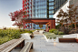 Barangaroo - International Tower Sydney (Tower Two) : Bringing a sense of green into the workplace