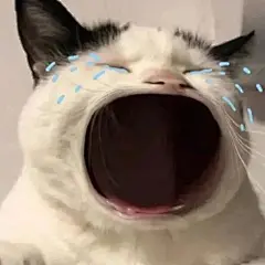 无字表情包_百度图片搜索