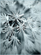 Snowflakes or snow crystals form when ice crystals freeze around tiny particles of dust that are in the air, and join together as they fall. Ice crystals that melt as they fall become rain. Ice crystals that form near the ground are called frost.