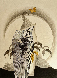 厦门是只猫采集到Design / 插画 手绘