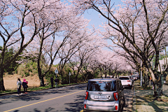 可爱的水深火热采集到景观道路