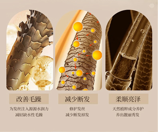 头发-毛发科技元素