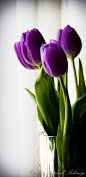 Learn to make tulips last year round! Super easy. I love it!: 