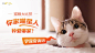 宠物粮猫粮banner