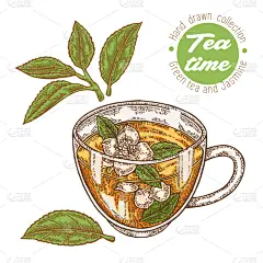 茉莉,茶杯,绿茶,茶,饮料,热,菜单,清新,香料,绘制