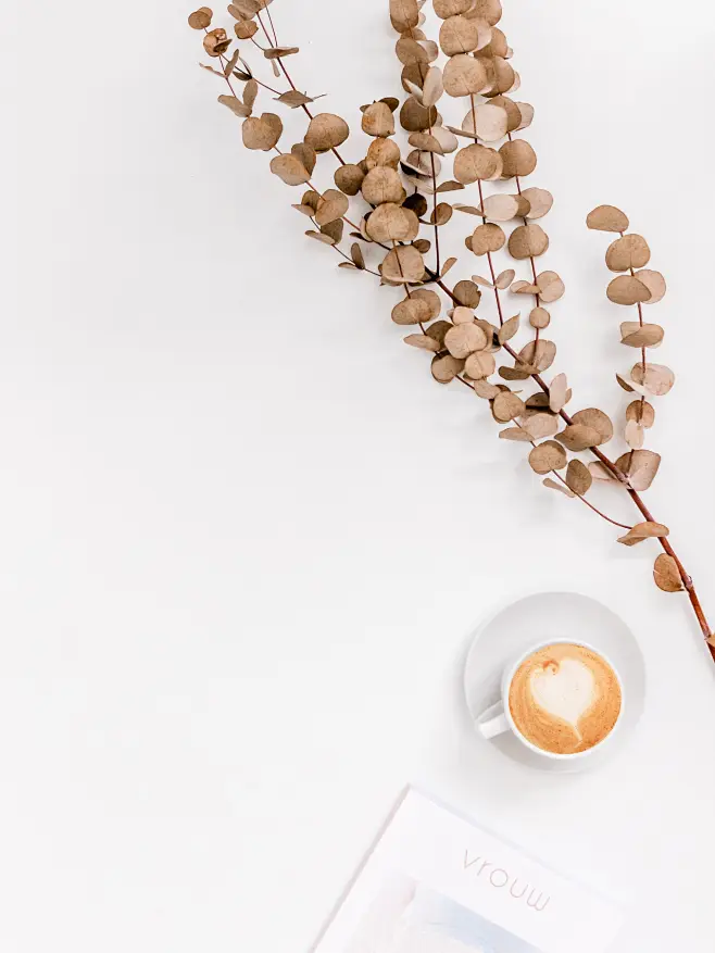 https://unsplash.com/photos/Oasi00T4pX0%C2%B7-花瓣网