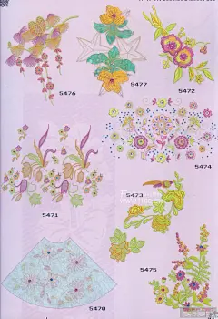n_425592111333978.jpg