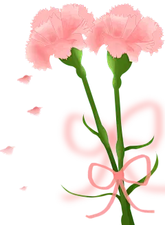 教师节 38 女神节 鲜花 康乃馨