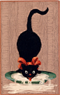 Chat noir qui lappe du lait, Vers 1920 - Carte postale anglaise "Mish & Co's: The black cat series"