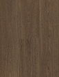 实木地板贴图3d高清无缝材质木纹地板贴图【来源www.zhix5.com】 (2)