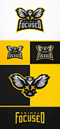 Animal Focused Owl eSports Logo Project by Derrick Stratton