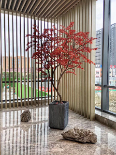莲ABCD采集到花艺