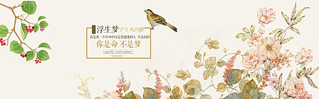 花,樱桃,鸟,海报banner图库,pn...