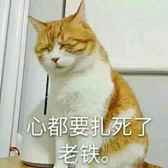 左左我是哦采集到文字