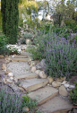 Provence garden
