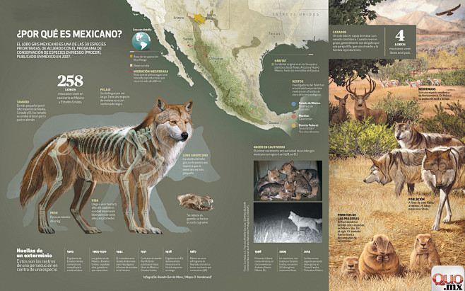 infografia_lobo_mexi...