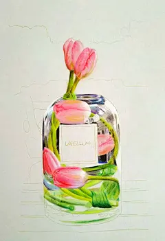 6超写实 手绘 插画 彩铅 课程 教程 水溶性彩铅 零基础自学  图片 绘画 艺术 美术 简笔画 彩色简笔画 水彩 教学 彩铅画 