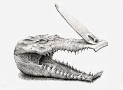 共混物插画免抠素材_新图网 https://ixintu.com 共混物 创意 指甲刀 插画 设计 鳄鱼