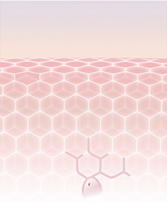 Alone丶s采集到细胞、分子
