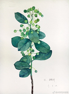 莛莛123采集到水彩